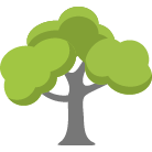 Andover Tree Removal