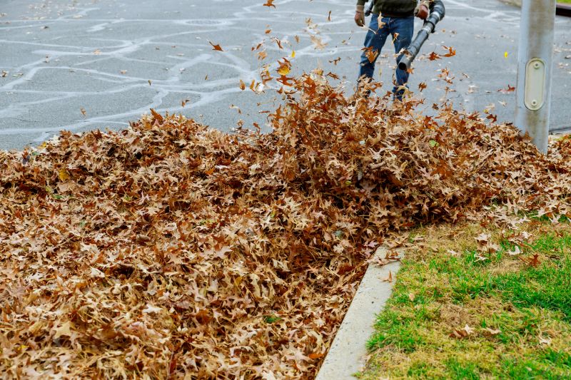 Efficient Leaf Disposal