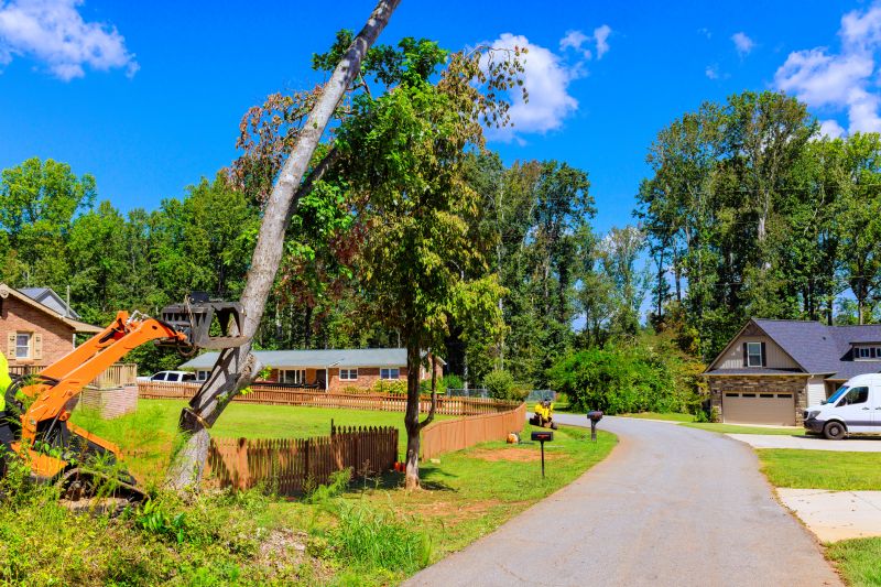 Commercial Property Tree Clearing